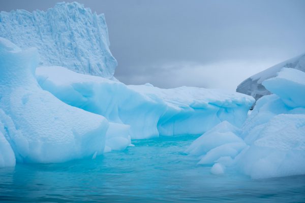 Antarctica Travel Experiences image