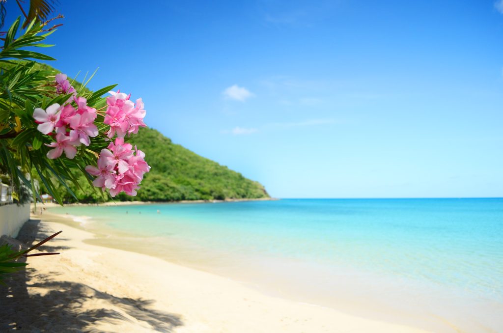 Hawaii Beach - Leisure Travel Enterprises