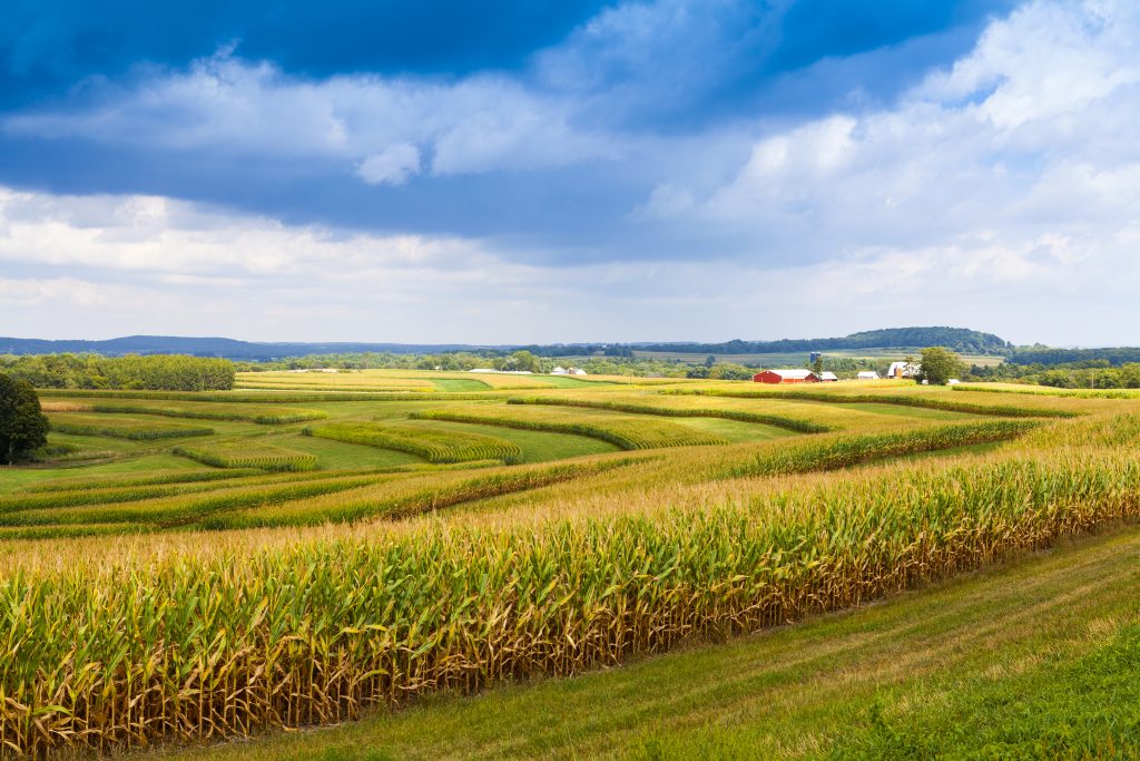 American Countryside Corn Field, Iowa - Leisure Travel Enterprises 