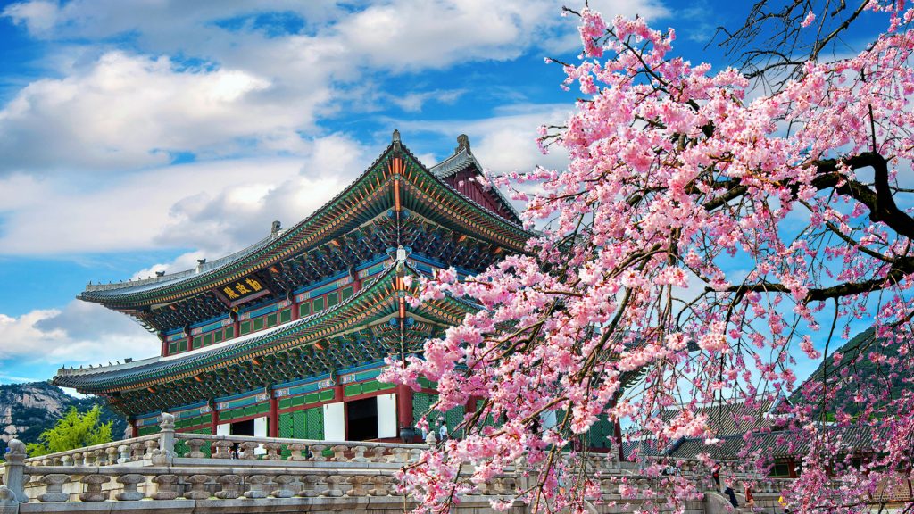 Cherry blossoms in spring, Seoul in Korea - Leisure Travel Enterprises