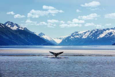 Celebrity’s Alaska: Untamed Beauty and Unforgettable Experiences image