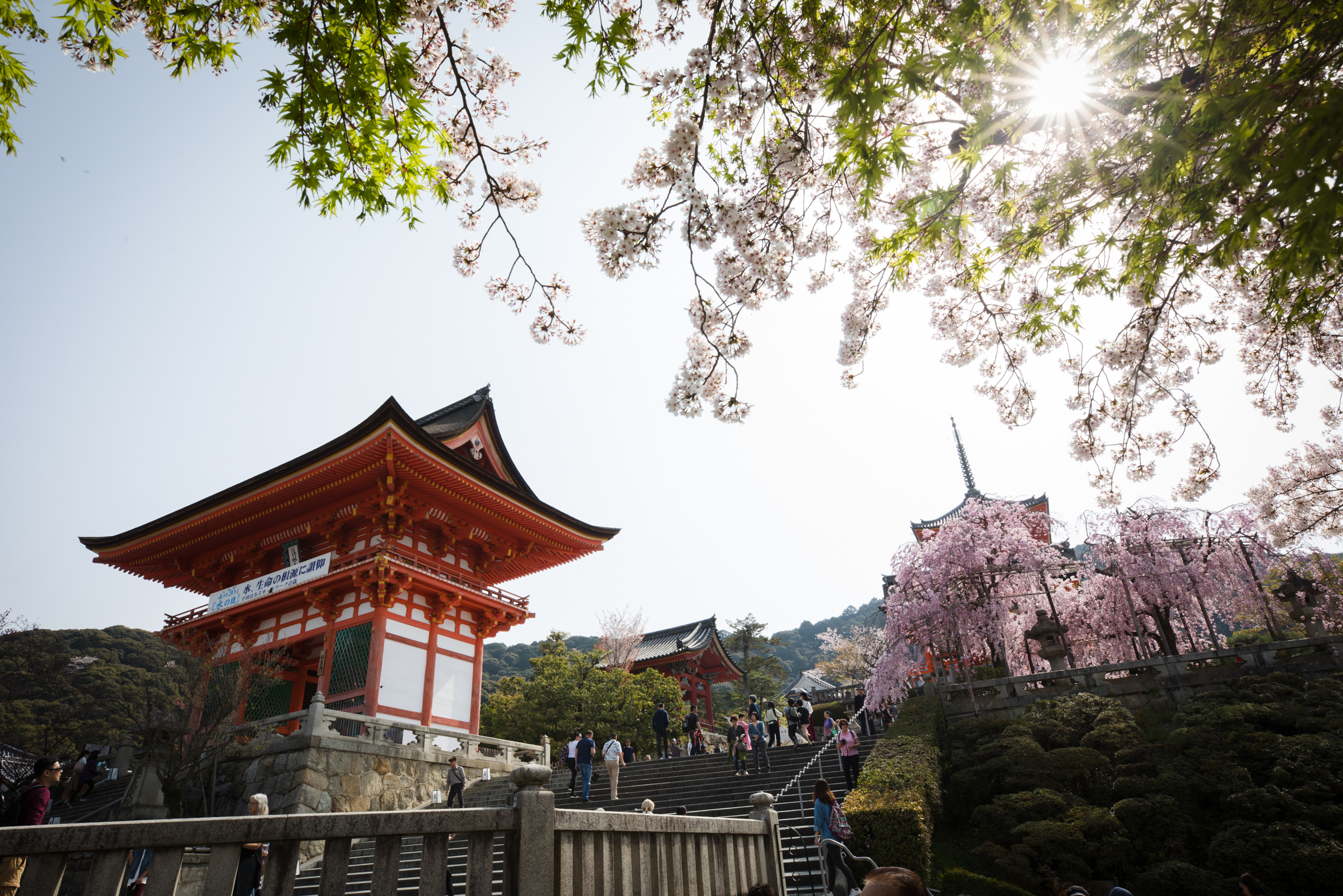 12 Night Best of Japan and South Korea