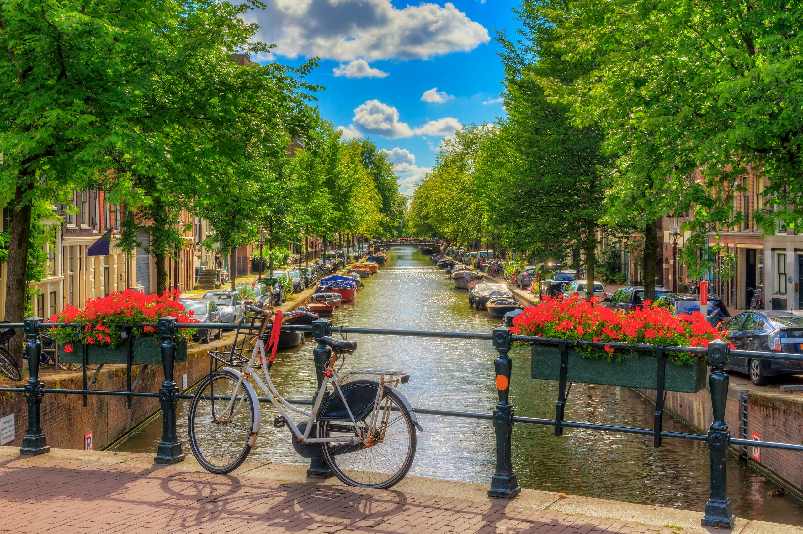 7-Night Tulip Time With 2-Nights Amsterdam Pre-Cruise